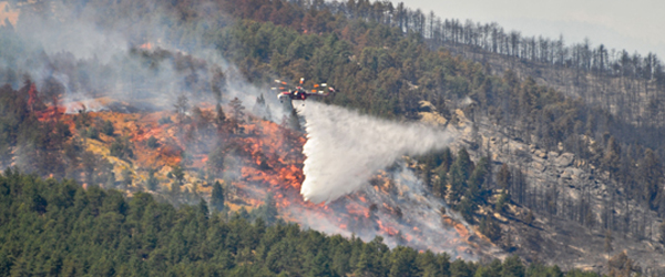 Image of a Wildfire