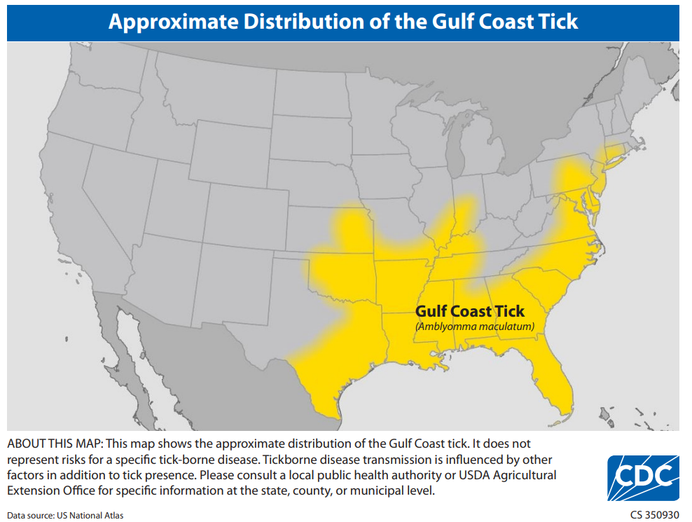 Approximate Distribution of the Gulf Coast Tick