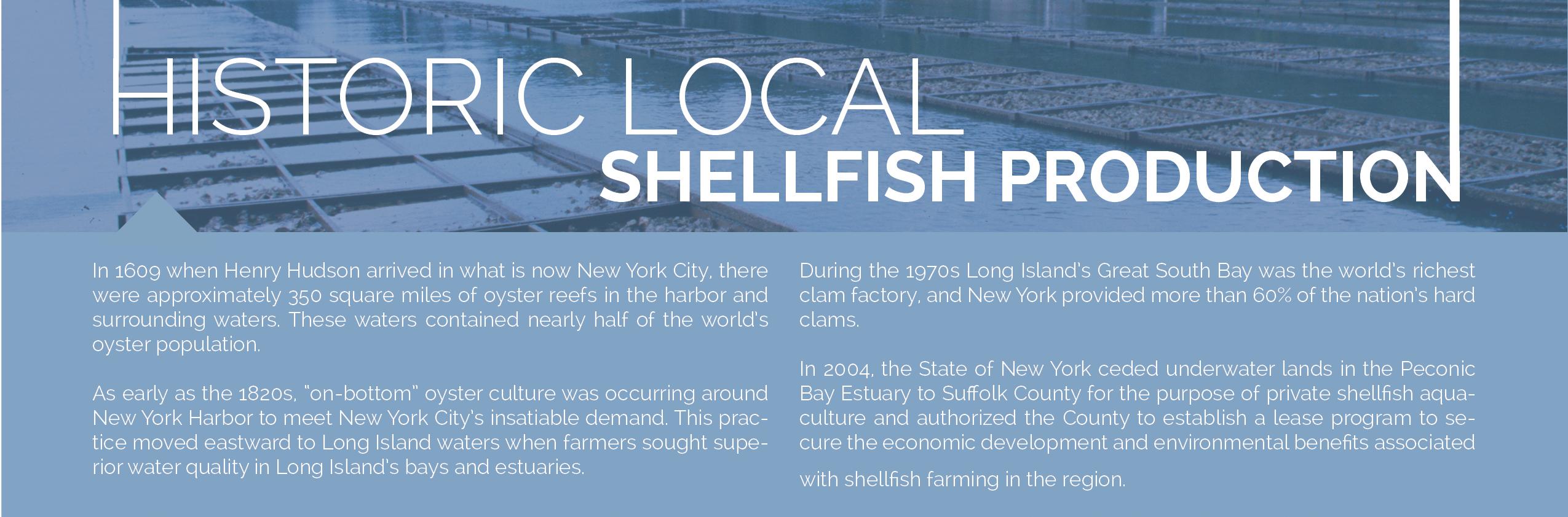 the words historical local shellfish with a background of a shellfish farm 