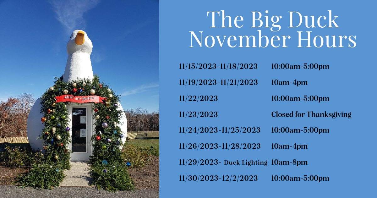 Big Duck November Calendar