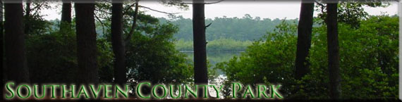 Wooded area with a path that looks down into a lake at Southaven County Park