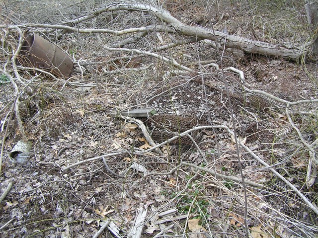 image 12 - an old 55 gallon drum can and rolled metal screening on the forest floor