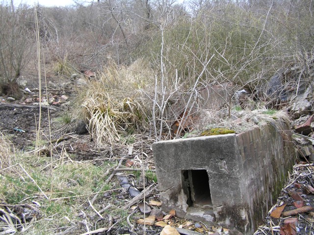 image 15 - a brick and concrete box grown over with moss