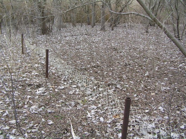 image 22 - metal fence posts and knee high fencing in the forest