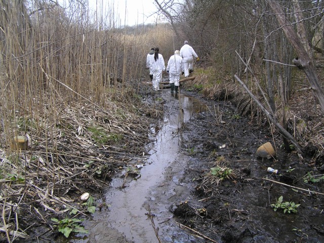 image 28 - a small stream runs through dry reeds and trees, workers walk along the stream