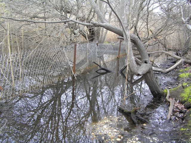 image 32 - a small bed of water with downed fenceline in it. trees and reeds are each side of the fence