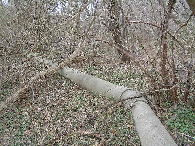 image 43b - a  large metal pipe runs along the forest floor; it has a bend at a 15 degree angle