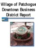 Picture of Village of Patchogue Downtown Business District Report