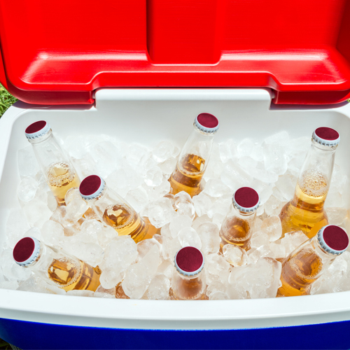 bottles of beer on ice in a cooler