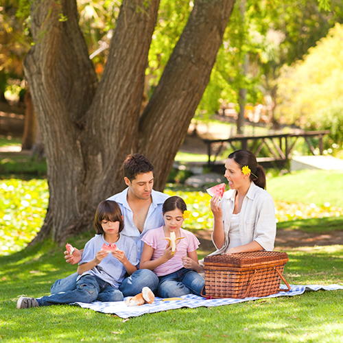 a family having a picnic under a tree