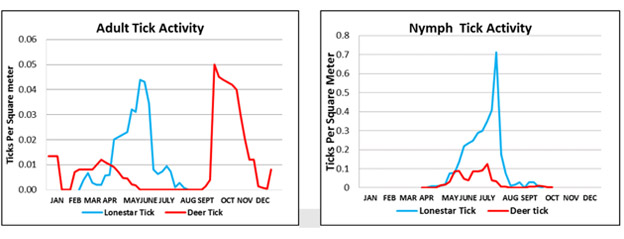 Tick Charts