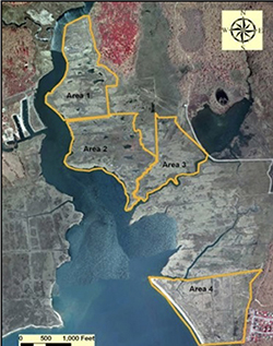 Wertheim National Wildlife Refuge