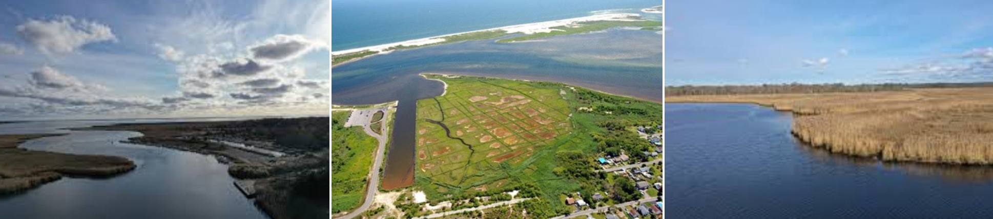 Suffolk County Wetlands